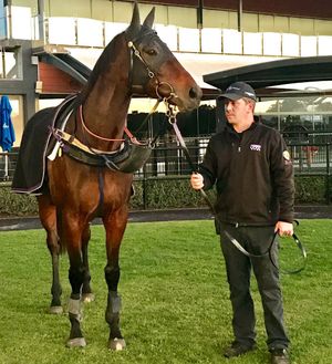 Image post by @australianturfclub on Instagram