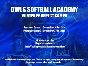 Image post by @fausoftball on Instagram