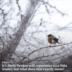 Image post by @theoregonian on Instagram