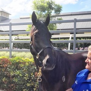 Image post by @australianturfclub on Instagram