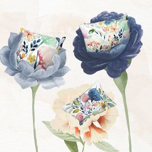 Image post by @shirtacle on Instagram