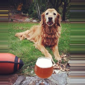 Image post by @navigationbrewingco on Instagram