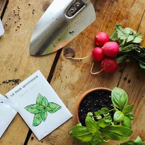 Image post by @lepainquotidienus on Instagram