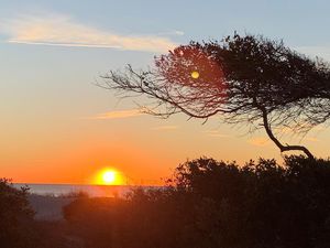 Image post by @kiawahresort on Instagram