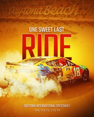 Image post by @rowdybusch on Instagram