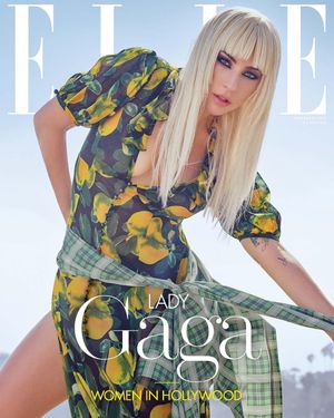 Image post by @ladygaga on Instagram