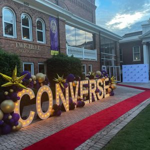 Image post by @conversevalkyries on Instagram