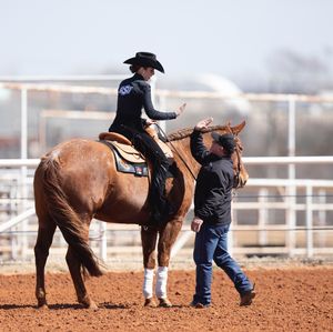 Image post by @osuequestrian on Instagram
