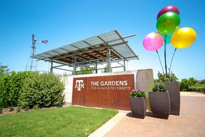 Image post by @tamu on Instagram