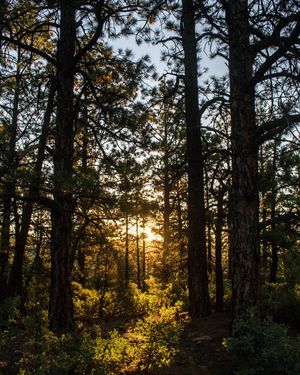 Image post by @michael_edson on Instagram