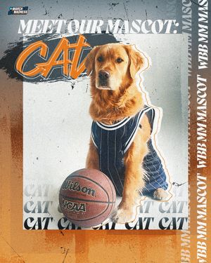 Image post by @MarchMadnessWBB on Twitter