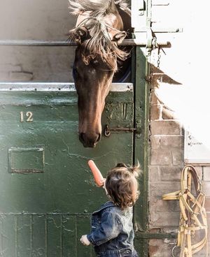 Image post by @australianturfclub on Instagram