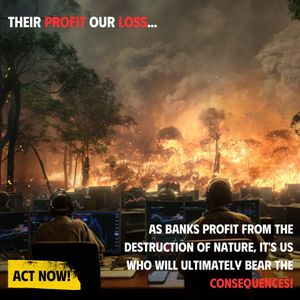 Image post by @greenpeace on Instagram