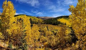 Image post by @fox31denver on Instagram