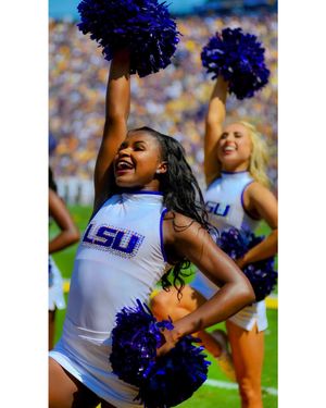 Image post by @lsutigergirls on Instagram