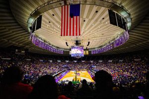 Image post by @lsuwbkb on Twitter