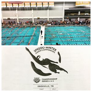 Image post by @wpiswimdive on Instagram