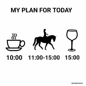 Image post by @equineidsolutions on Instagram