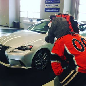 Image post by @kcmavericks on Instagram