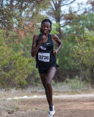 Image post by @acu_tfxc on Instagram