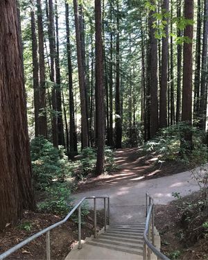 Image post by @ucsc on Instagram