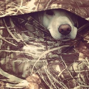 Image post by @meateater on Instagram