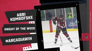 Image post by @arcadia_knights on Instagram