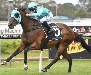 Image post by @australianturfclub on Instagram