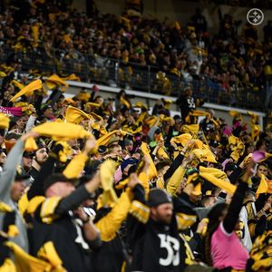 Image post by @steelers_nation_unite on Instagram