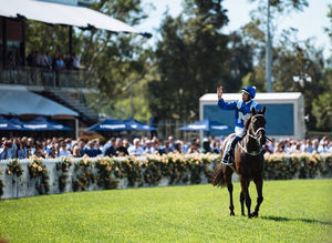 Image post by @australianturfclub on Instagram