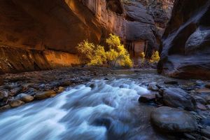 Image post by @nationalparkscollective on Instagram