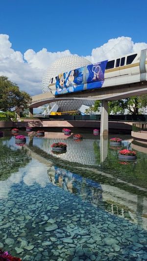 Video post by @thedisneyblog on Instagram