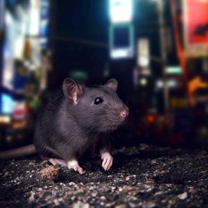 Image post by @discovery on Instagram