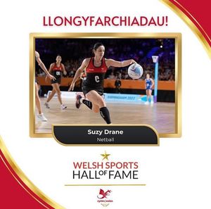 Image post by @walesnetball_ on Instagram