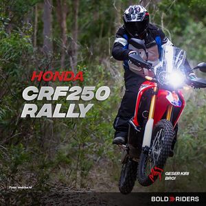 Image post by @boldriders on Instagram