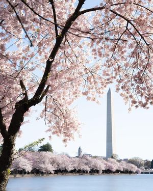 Image post by @nationalparkspartnership on Instagram