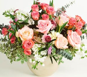 Image post by @shopbachmans on Instagram