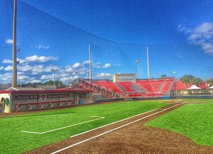 Image post by @flaglerbaseball on Instagram