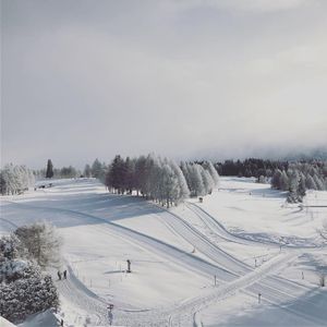 Image post by @dodomolinari on Instagram