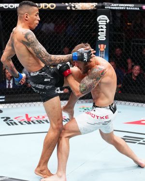 Image post by @ufc_brasil on Instagram