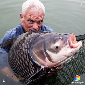 Image post by @animalplanet on Instagram