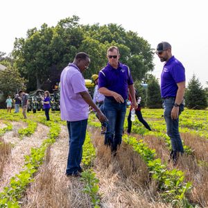 Image post by @KState on Twitter