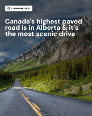 Image post by @curiocitycalgary on Instagram