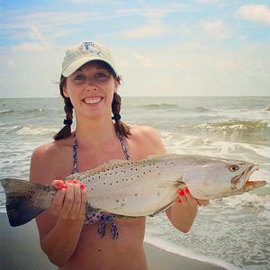 Image post by @toadfishoutfitters on Instagram