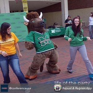 Image post by @marshallu on Instagram