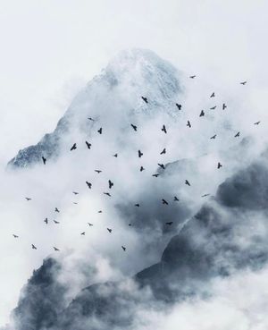 Image post by @fubiz on Instagram