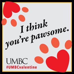 Image post by @umbclife on Instagram