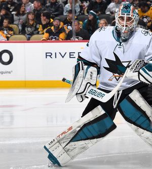 Image post by @truelefevre_goalie on Instagram