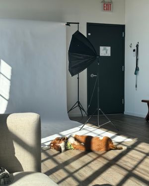 Image post by @towniecreative on Instagram