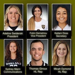 Image post by @oaklandwgolf on Instagram
